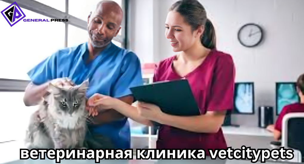 ветеринарная клиника vetcitypets