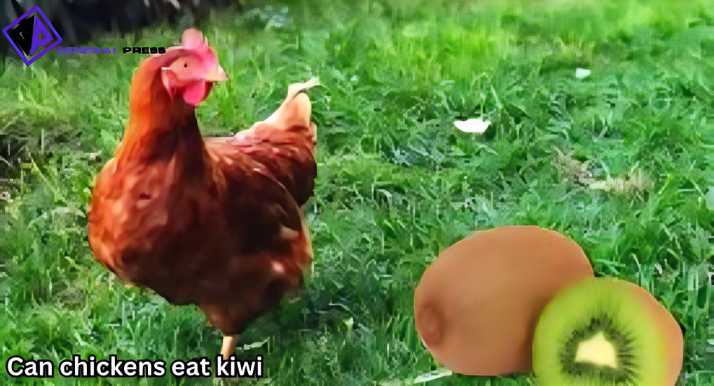 Can Chickens Eat Kiwi? A Guide to Feeding Kiwi to Your Flock