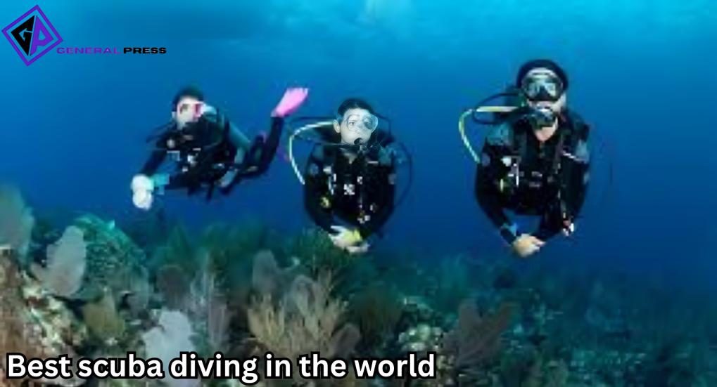 The Best Scuba Diving in the World: A Journey Beneath the Waves